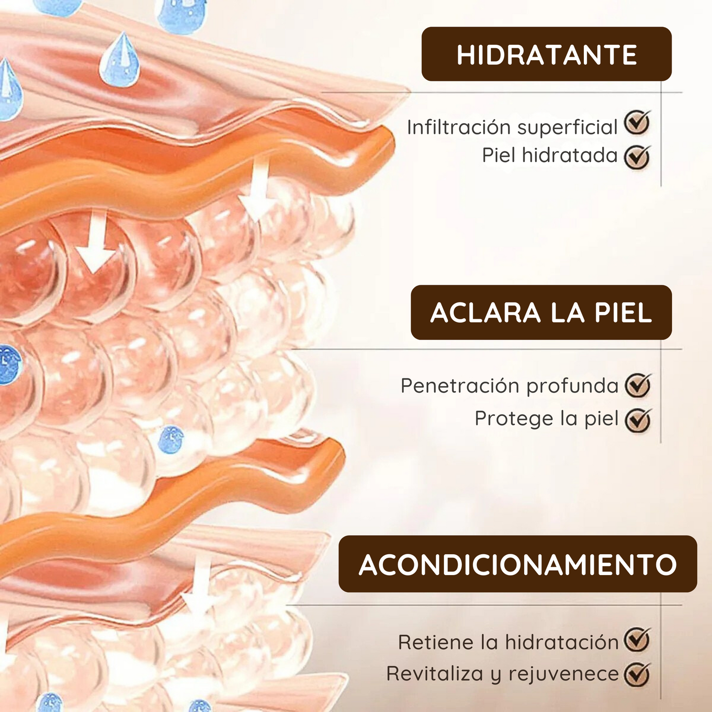 Kit 5 en 1 Coreano de Ceramidas Hidratantes